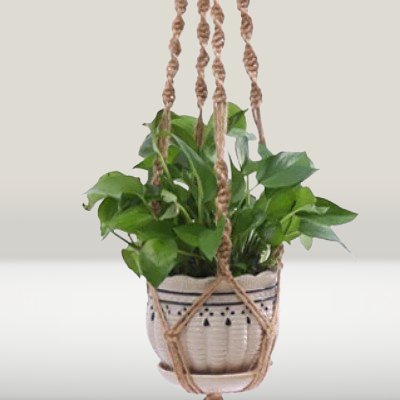 Cintre pot suspendu - PlantHanger™ - Style B - Suspension florale chic
