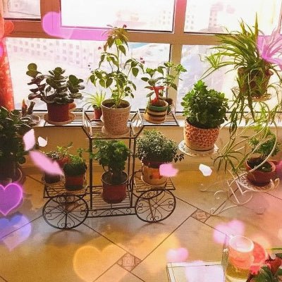 porte plante fer noir ambiance florale devant baie vitrée