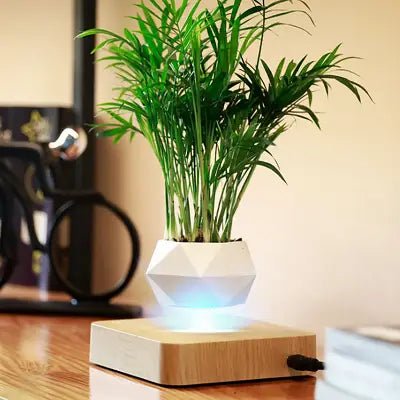 Pot de fleur intérieur - LevitatingPot™ - Blanc&marron clair - Suspension florale chic