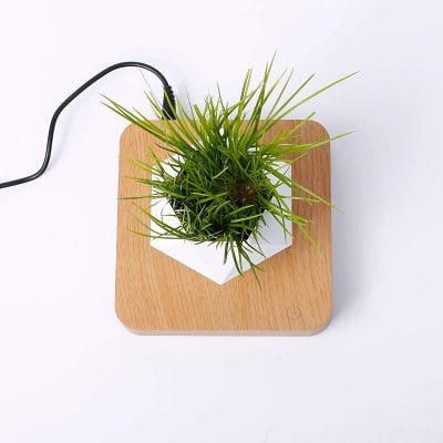 Pot de fleur intérieur - LevitatingPot™ - Blanc&marron clair - Suspension florale chic