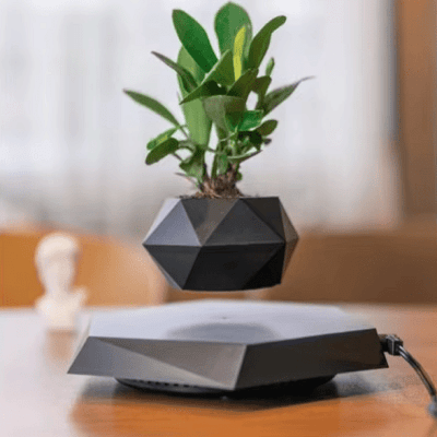 Pot de fleur intérieur - LevitatingPot™ - Noir - Suspension florale chic