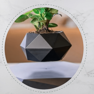Pot de fleur intérieur - LevitatingPot™ - Noir - Suspension florale chic
