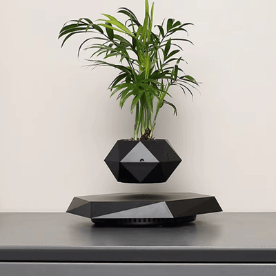 Pot de fleur intérieur - LevitatingPot™ - Noir - Suspension florale chic