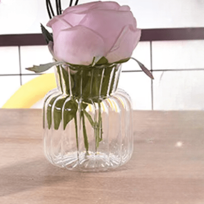 Vase en verre transparent - CreativeGlassVase™ - Style A - Suspension florale chic
