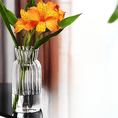 Vase en verre transparent - CreativeGlassVase™ - Style B - Suspension florale chic