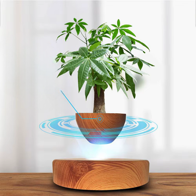 Pot de fleur intérieur - LevitatingPot™ - Bois