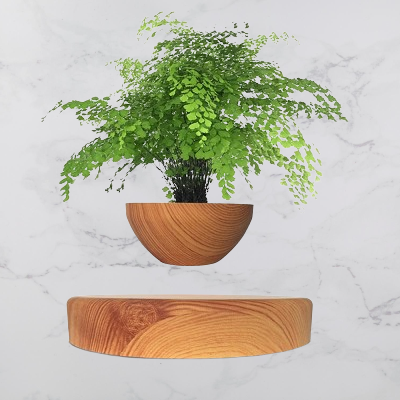 Pot de fleur intérieur - LevitatingPot™ - Bois