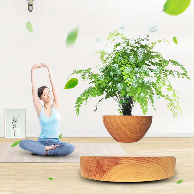 Pot de fleur intérieur - LevitatingPot™ - Bois