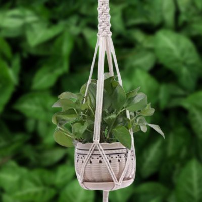 Cintre pot suspendu - PlantHanger™ - Style A - Suspension florale chic