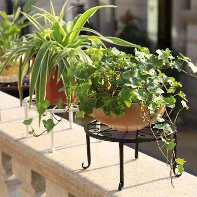 porte plante rosace blanc et noir pour plantes vertes