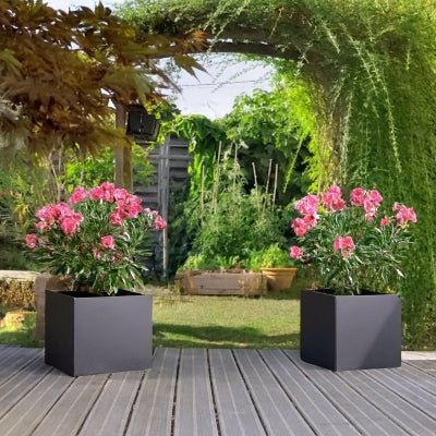 deux pot de fleur exterieur anthra de chaque côté d'arche