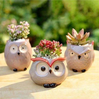 pot de fleur exterieur choupi chouette trio sur table dehors