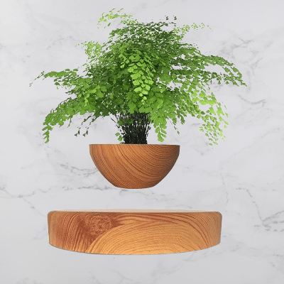Pot de fleur intérieur - LevitatingPot™ - Bois - Suspension florale chic