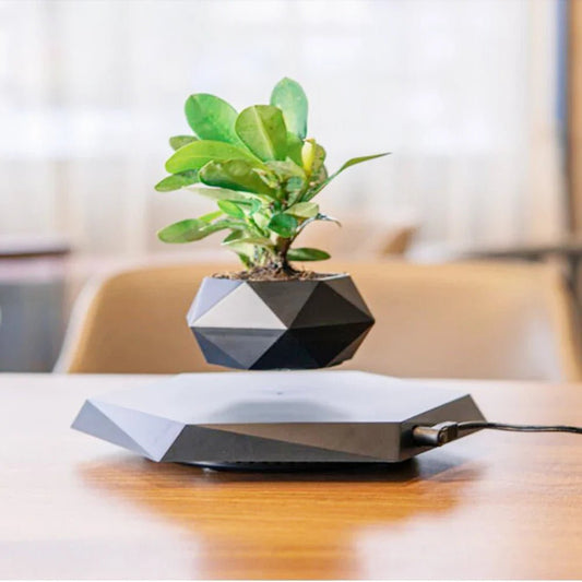 Pot de fleur intérieur - LevitatingPot™ - Noir - Suspension florale chic