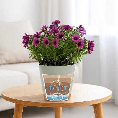 pot de fleur serenite visualisation du système d'arrosage par capillarité