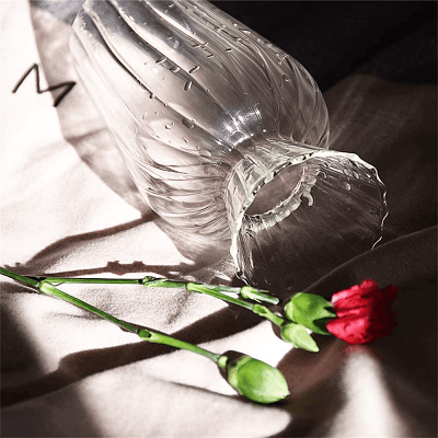 Vase en verre transparent - CreativeGlassVase™ - Style C - Suspension florale chic